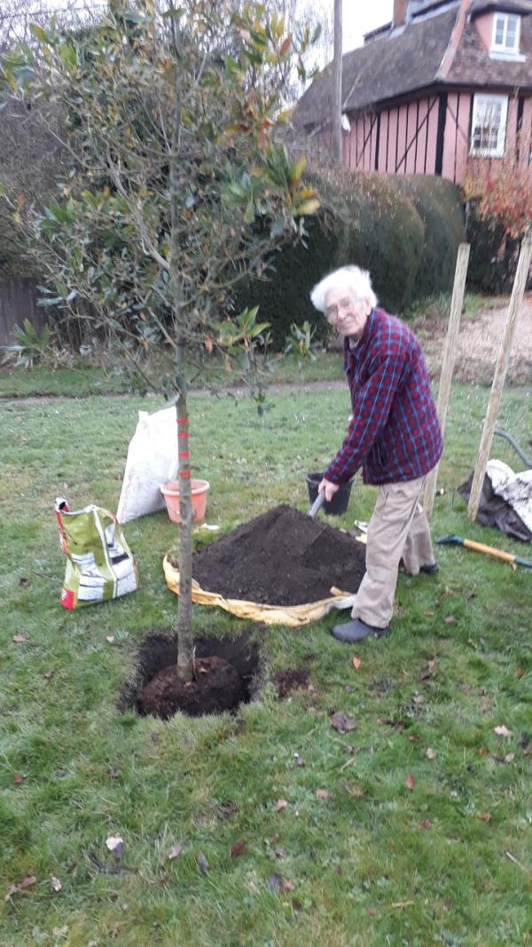 Tree planting 2